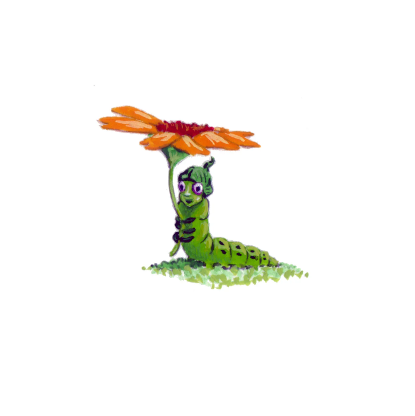 little caterpillar holding daisy 2.jpg