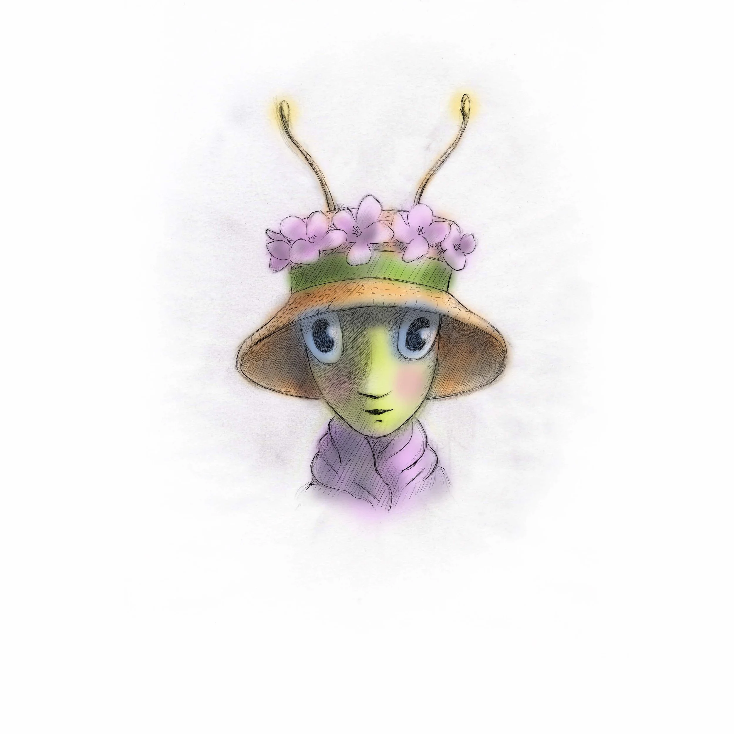 fashion bug with hat 3.jpeg