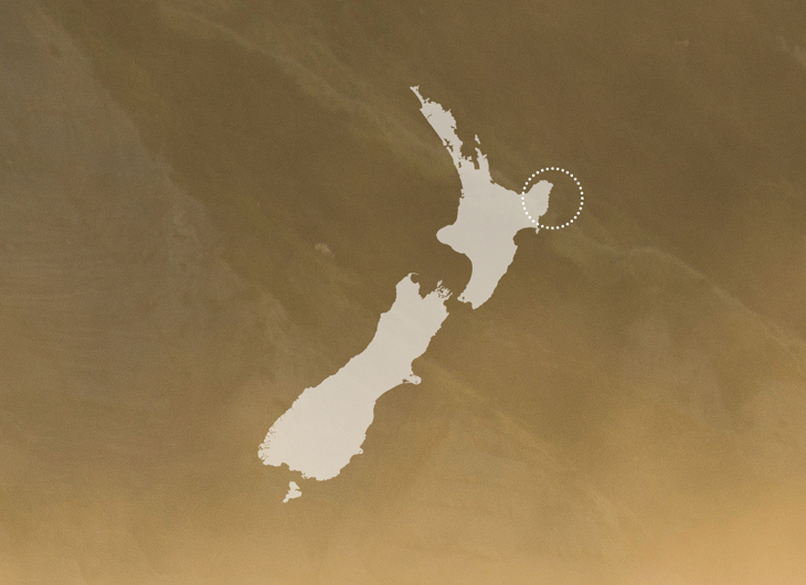 NZ-graphic.jpg