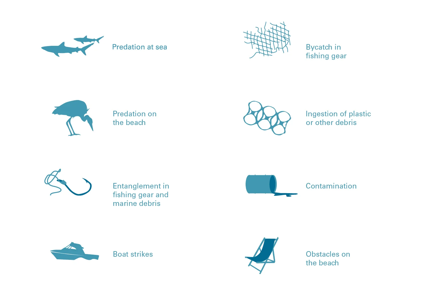 Marine-turtles-Maldives-Threats-icons.jpg