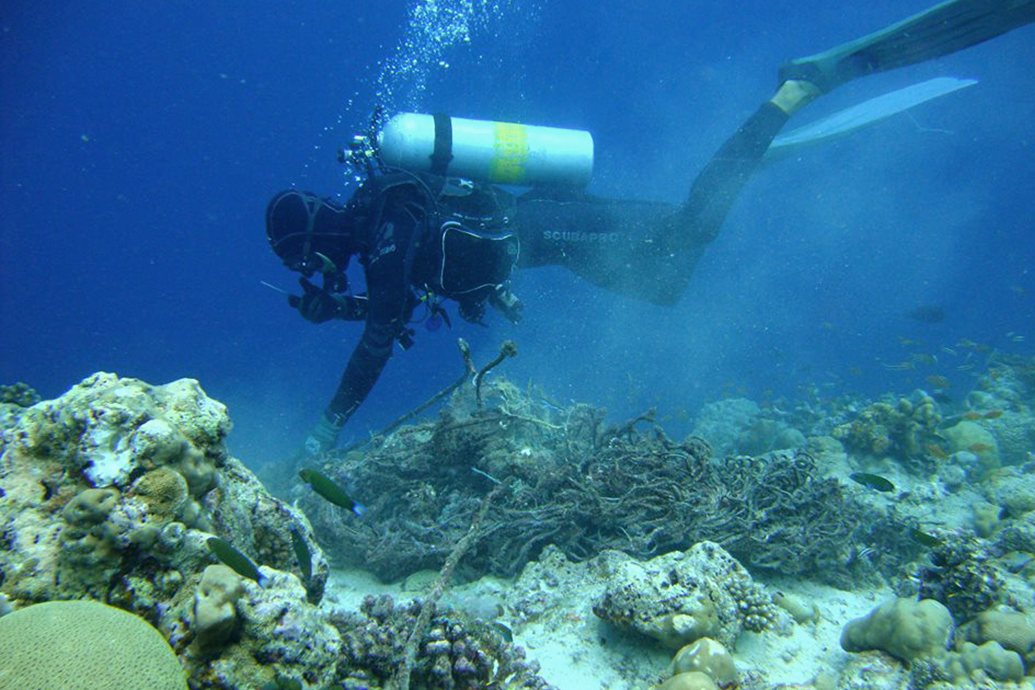 ORP-Protocol-Diver-Ghost-Net.jpg