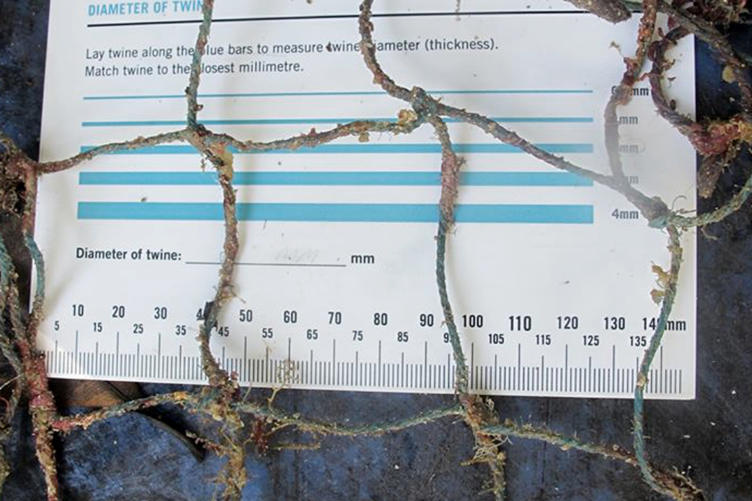 ORP-Protocol_Diameter-of-twine.jpg