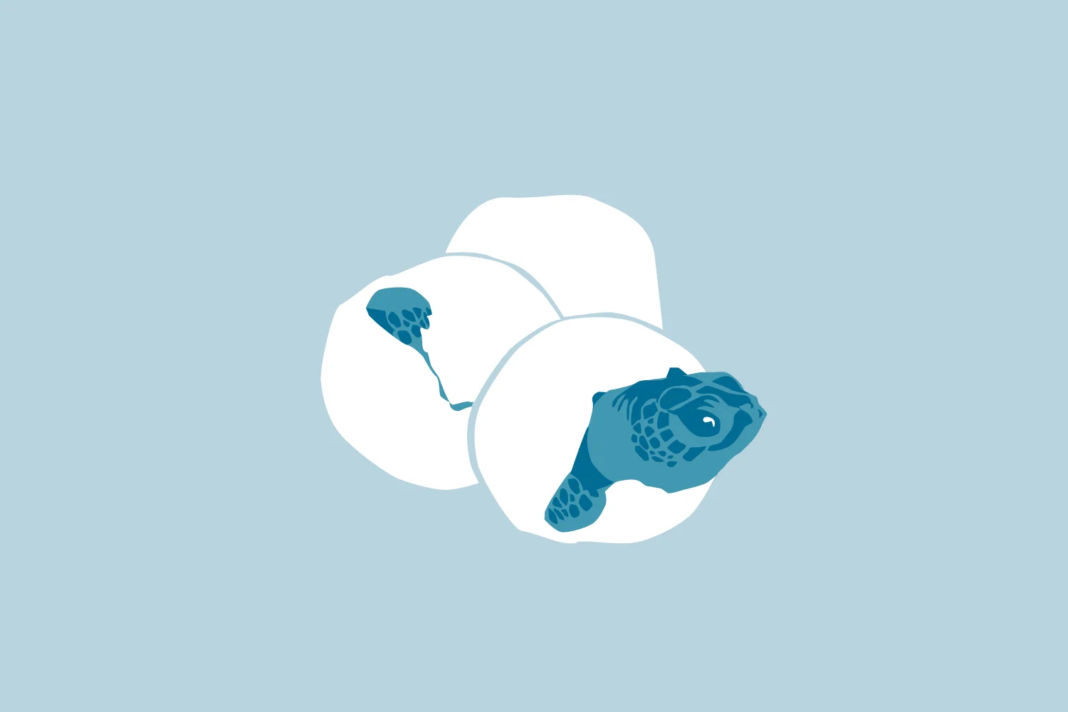 Marine-turtles-Maldives-Threats-icons 12.jpg