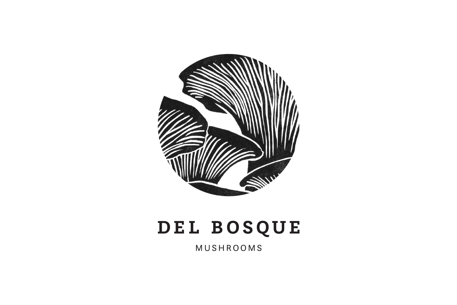 DB logo1.png