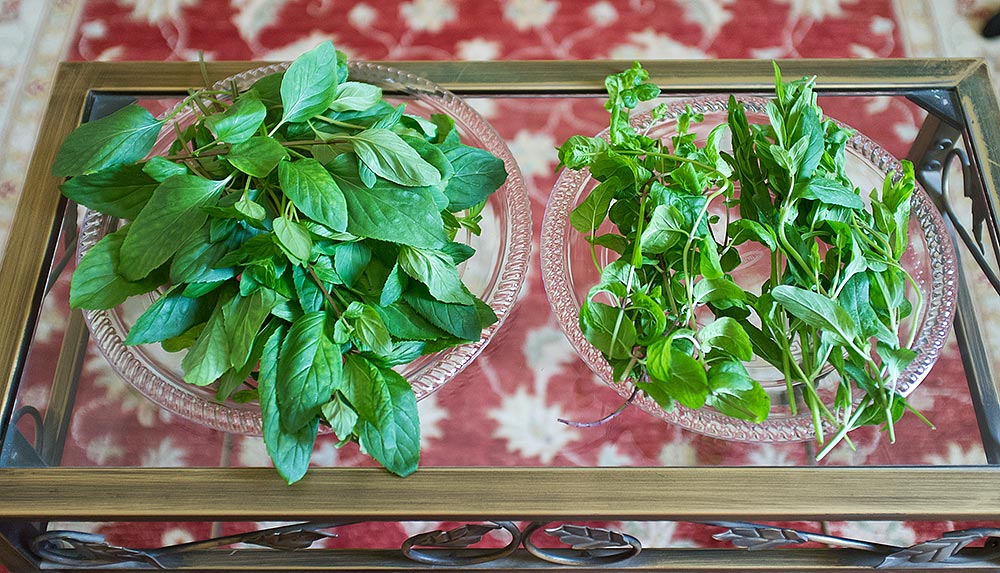 Left plate: green tea. Right plate: mint and Habaq