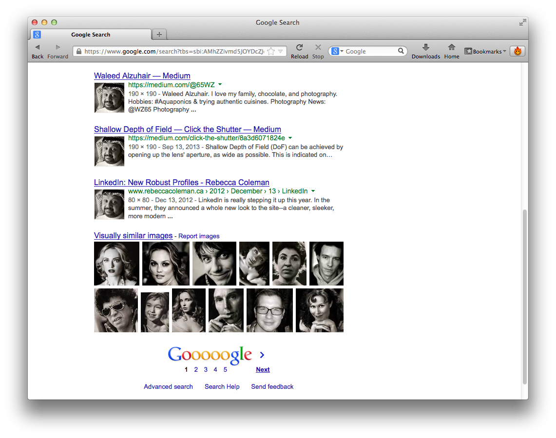 4. You'll get a hit list of probable images and their URLs, with suggested images of similar color tones.