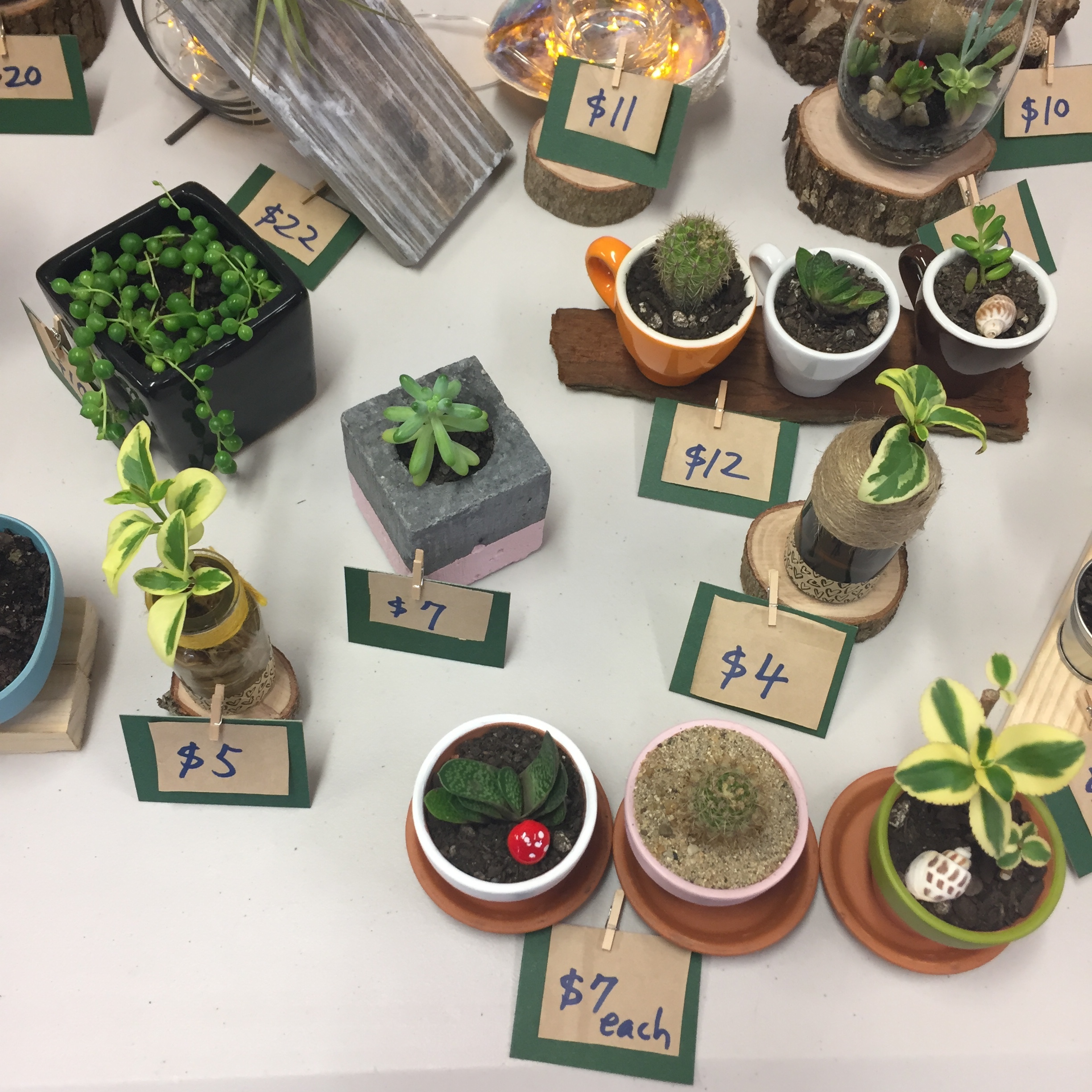 Hataitai Community Market, 7 October