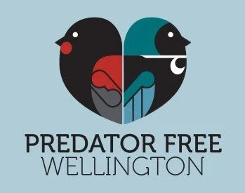 Predator Free Wellington is coming to Hataitai