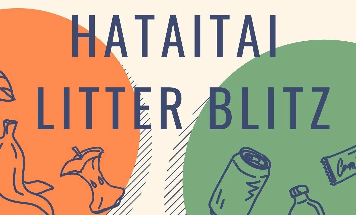Hataitai Litter Blitz - Sunday 16 May