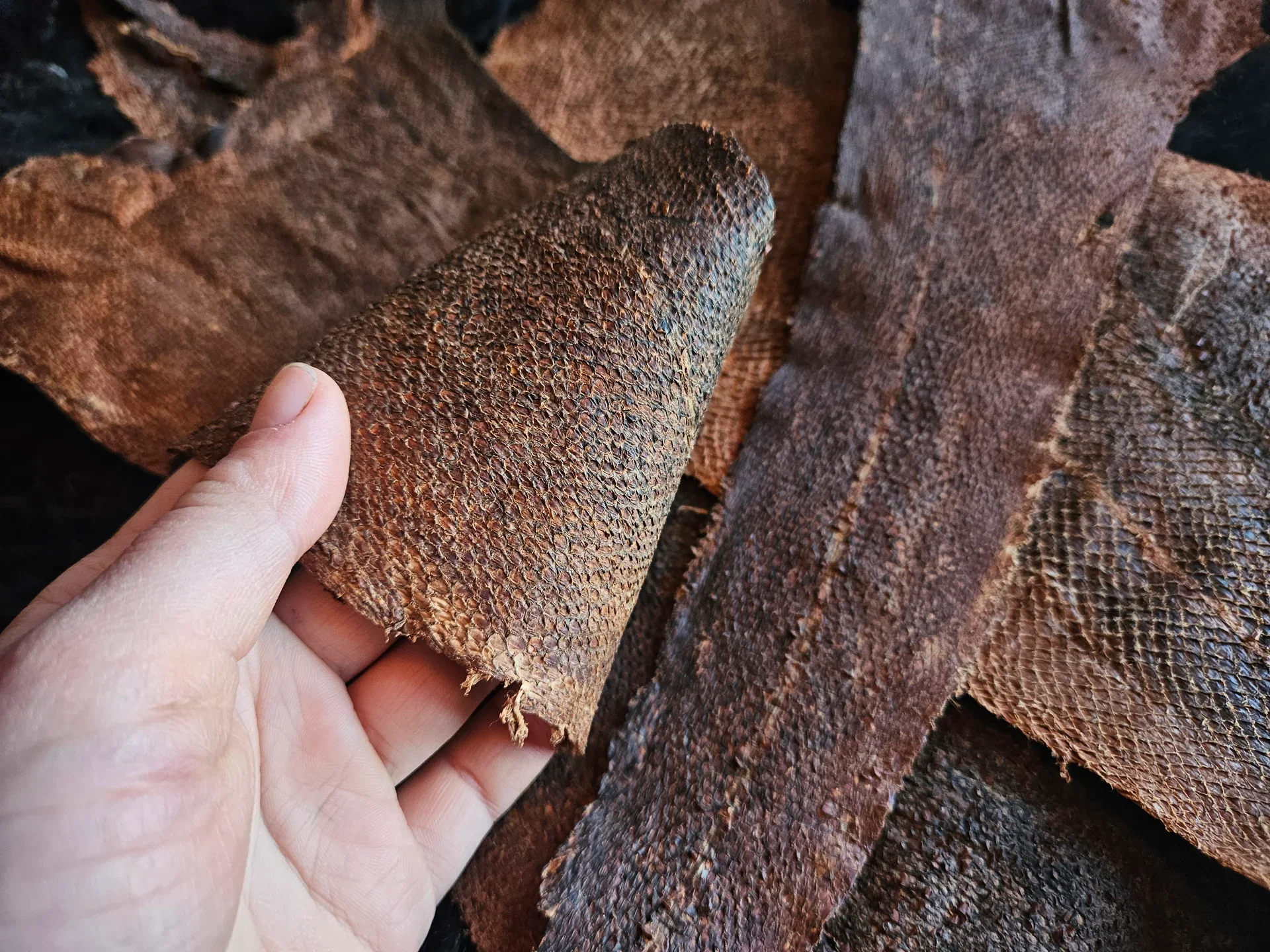 Micro Mill Fish Skin Tanning Workshop