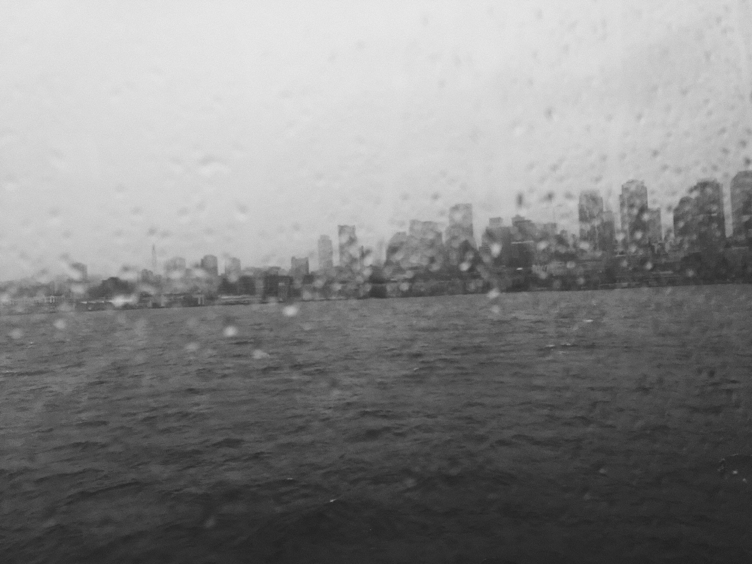 IMG_2375.jpeg