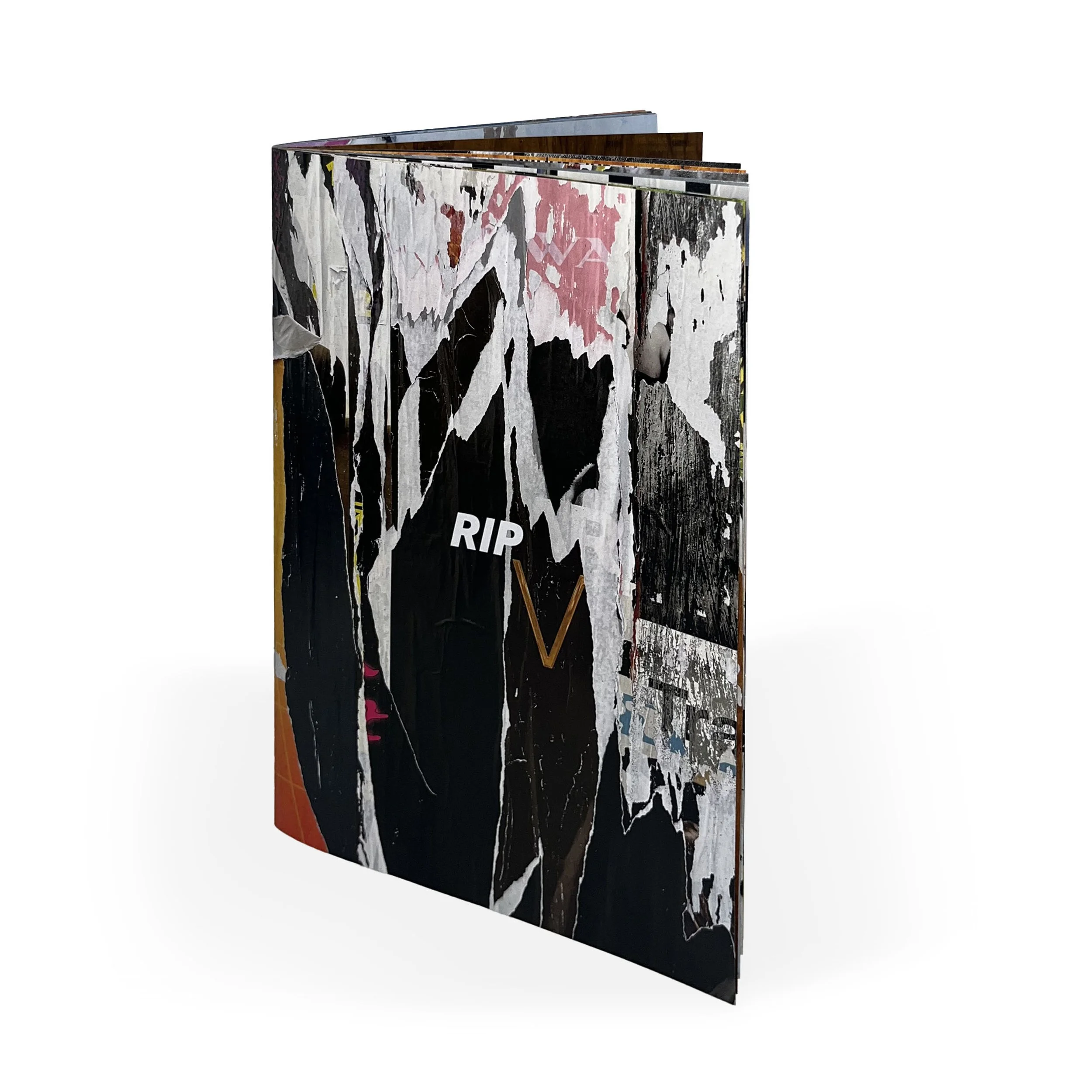 RIP-Photo-Book-by-Jason-Powell-01.jpg