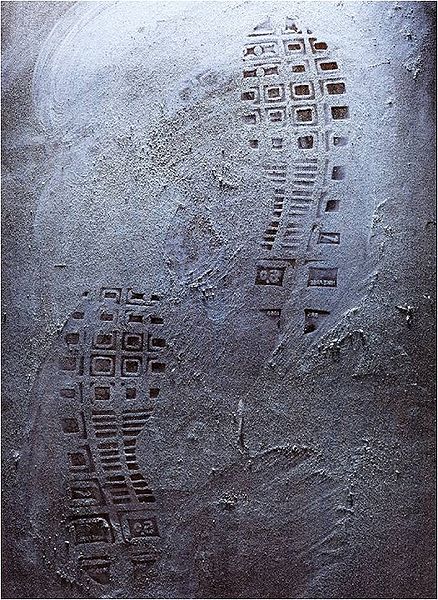 Footwear impressions left at a crime scene (photo in public domain, photo attributed to Zalman992 on wikipedia).