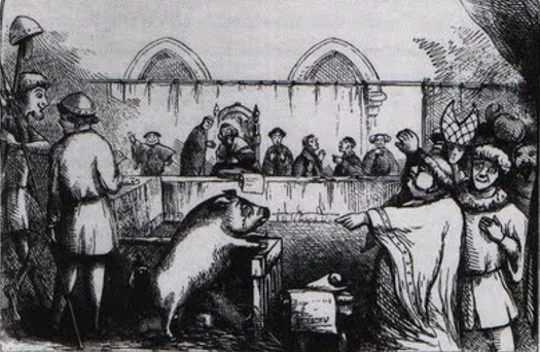 Fig. 28. “Trial of a Sow and Pigs at Lavegny” from “The Book of Days,” 1863 (image is in the public domain)