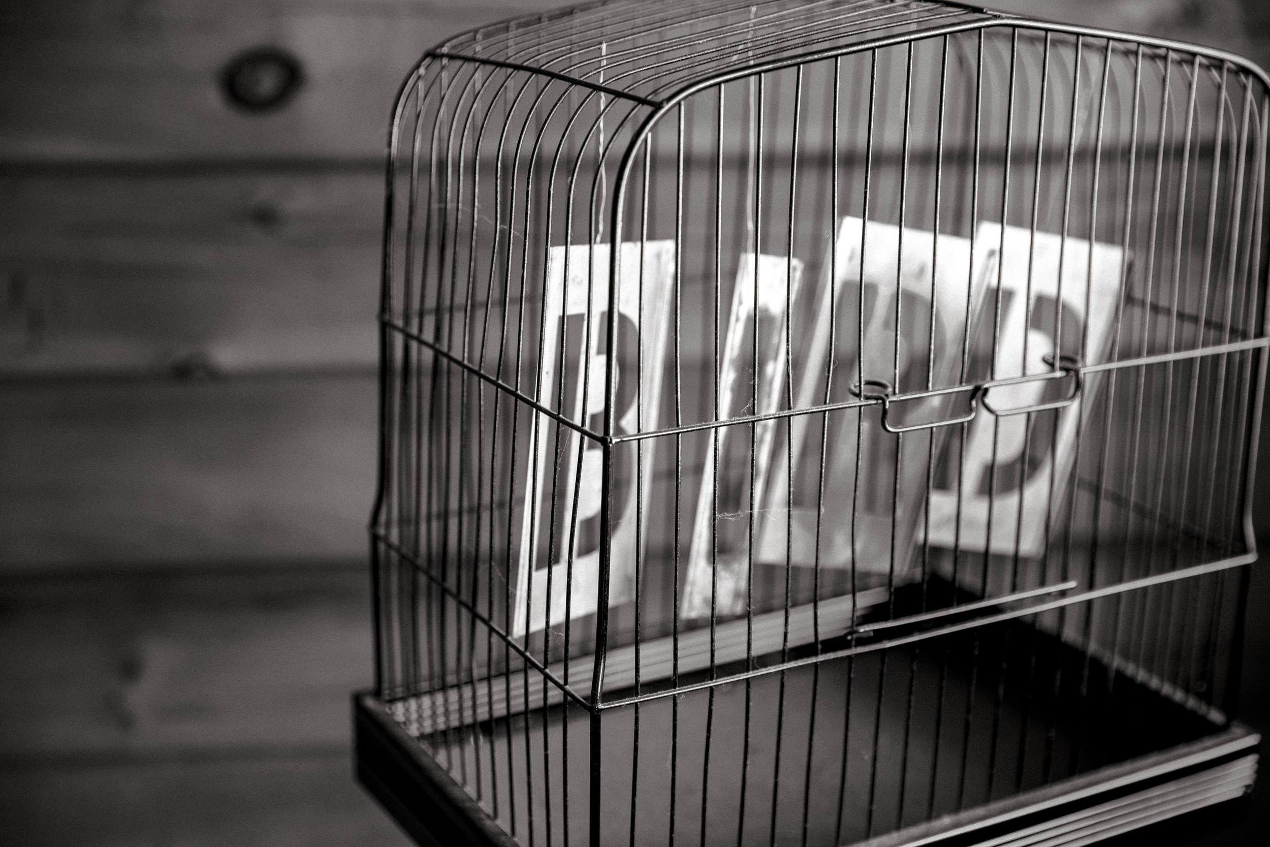 B:W Letters B I R D in birdcage Gratisography Ryan McGuire pubdomain.jpg