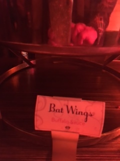 Bat Wings.JPG