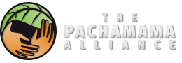 pachamama-logo.png