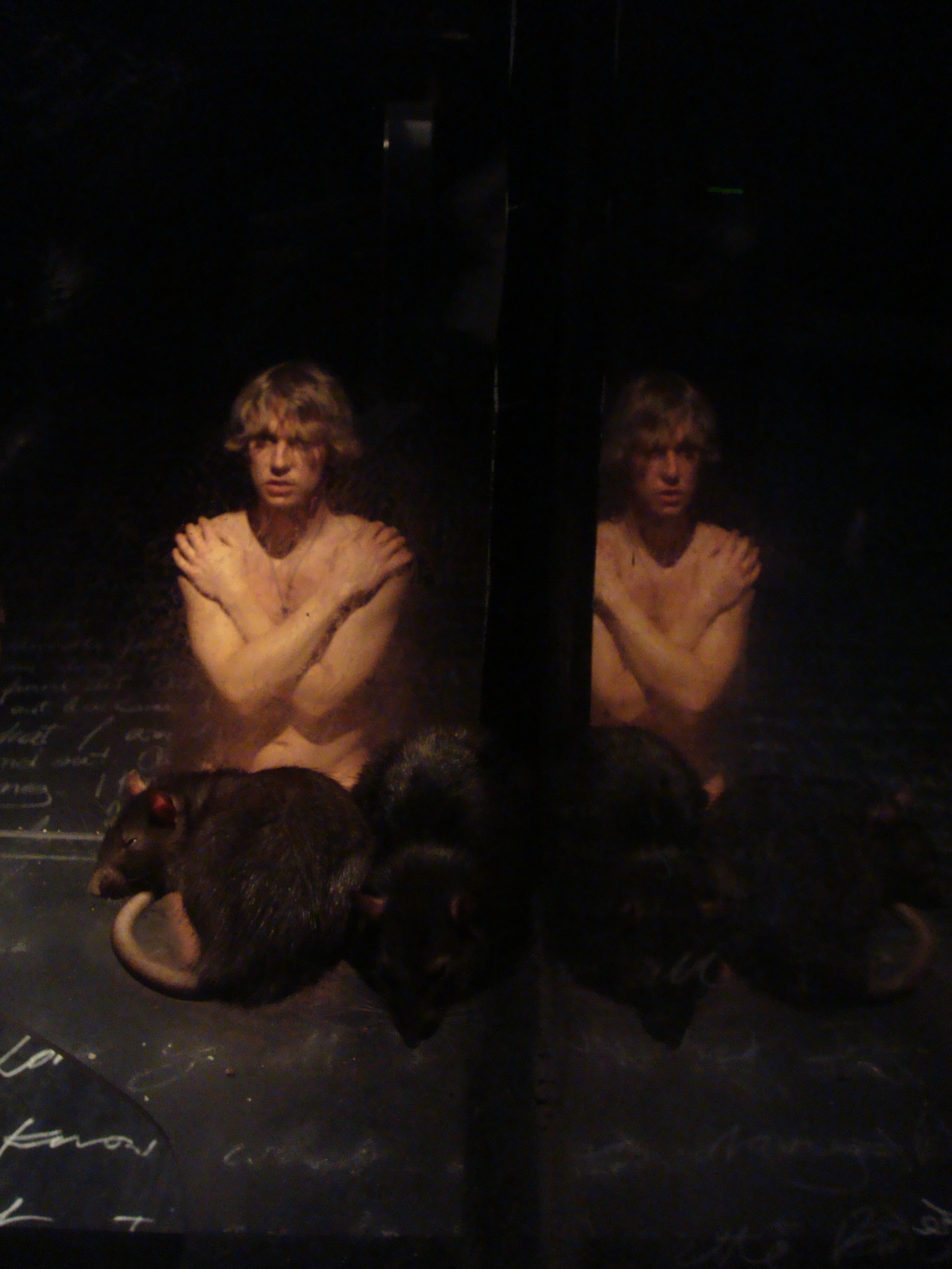 7 primary by unknown.jpg