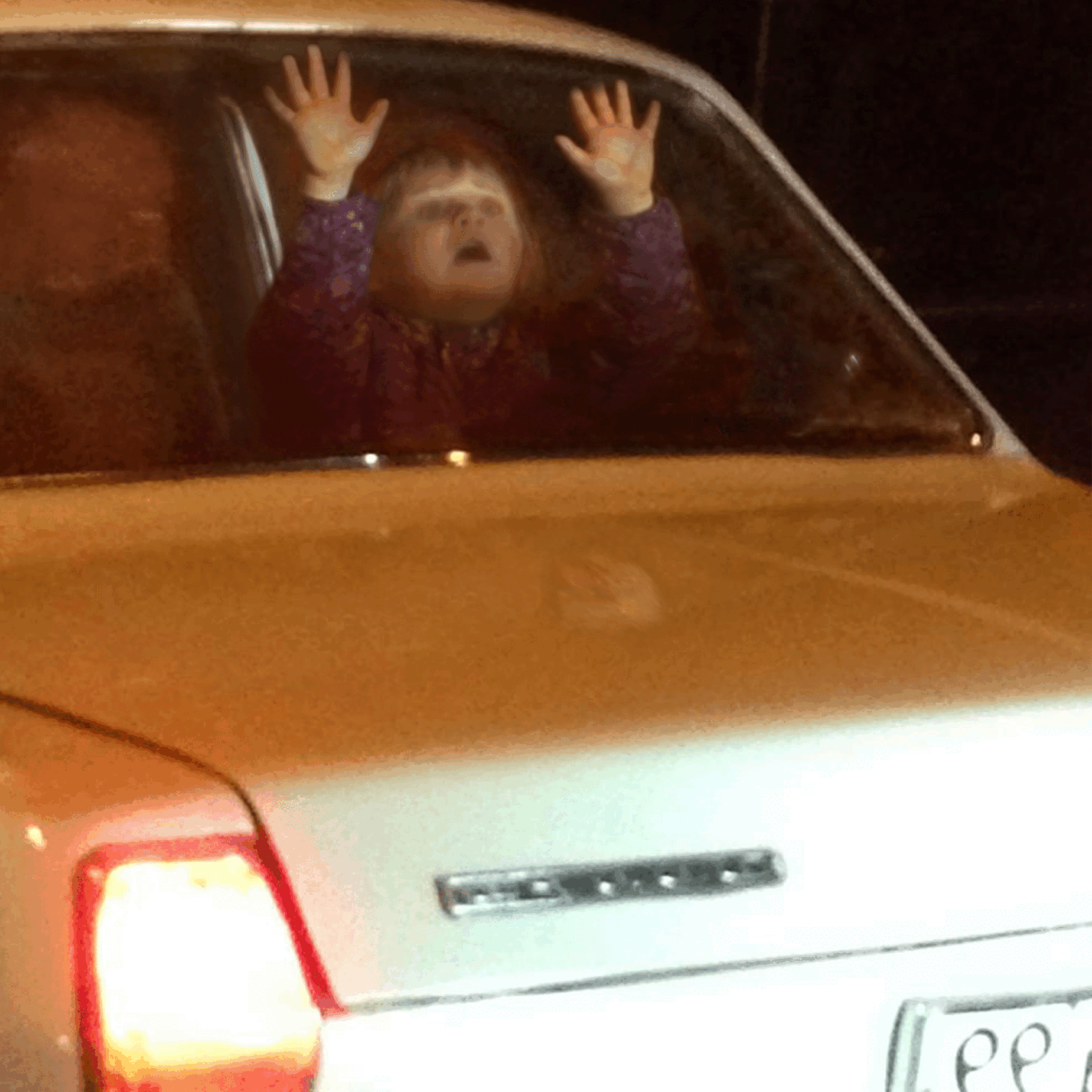 volga.gif