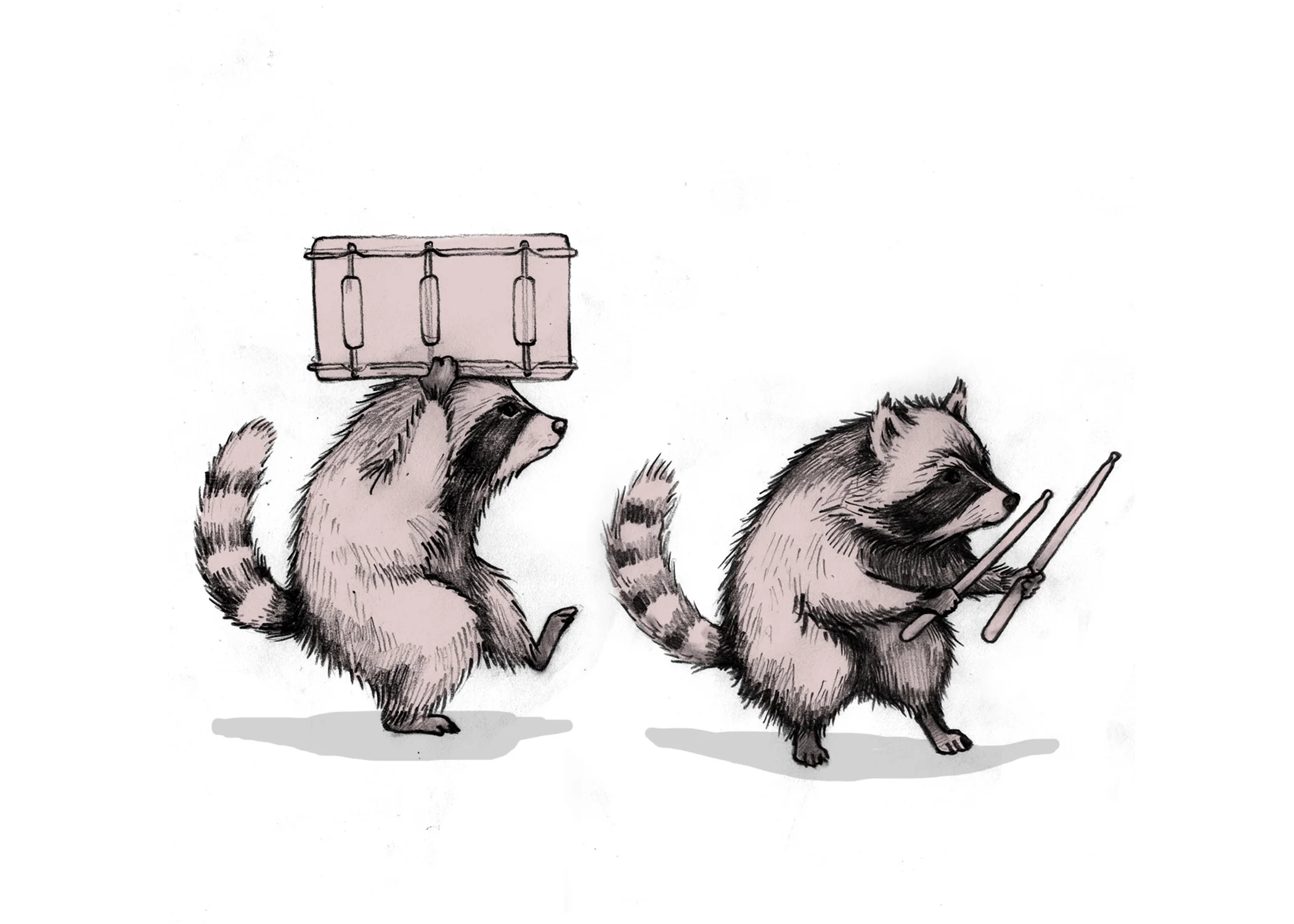 Racoons_detail_01.jpg