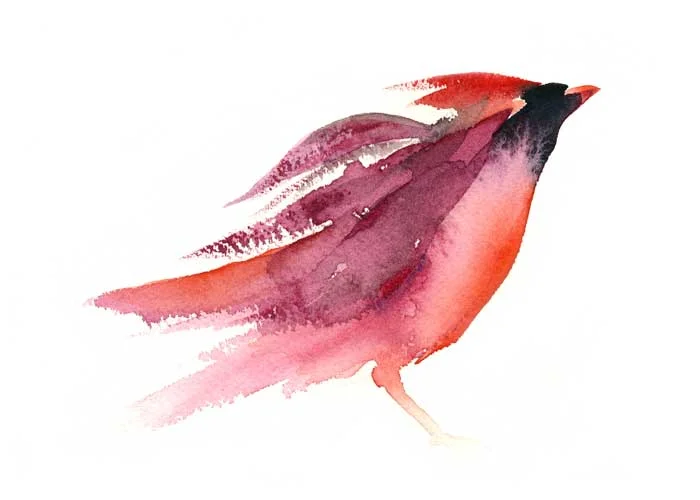 Watercolor Cardinal