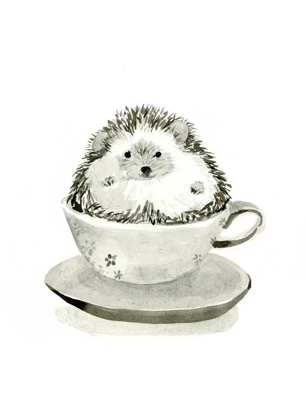 Hedgie in a Teacup #1