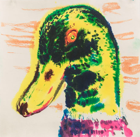 The Duck Show