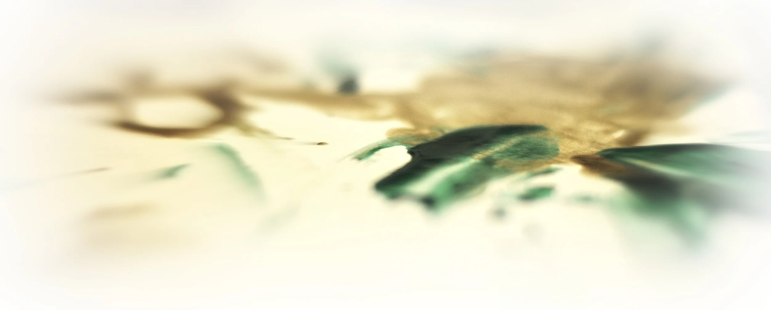 _DSC6903 edit 1.jpg