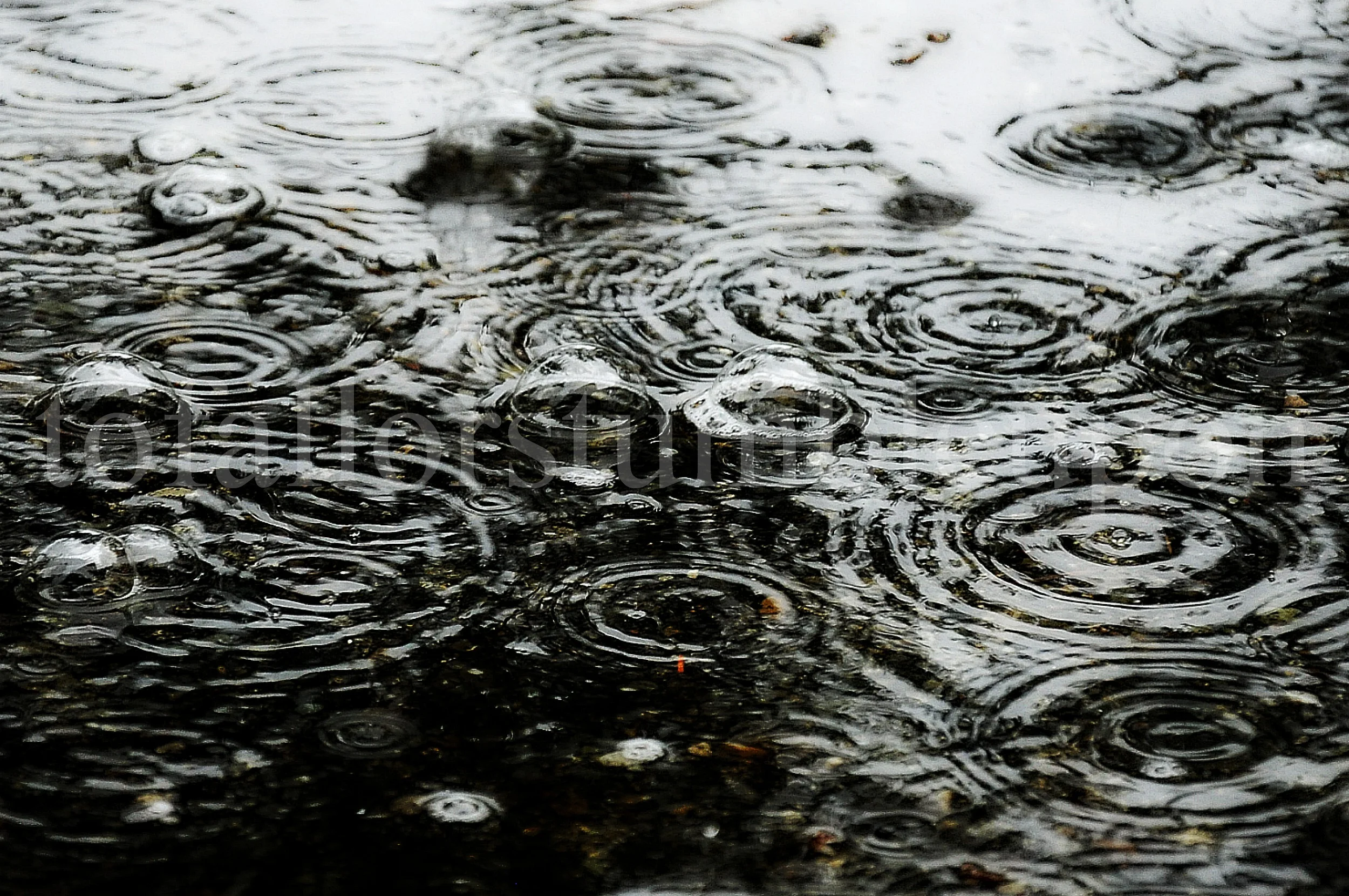 _DSC5195 edit 2.jpg