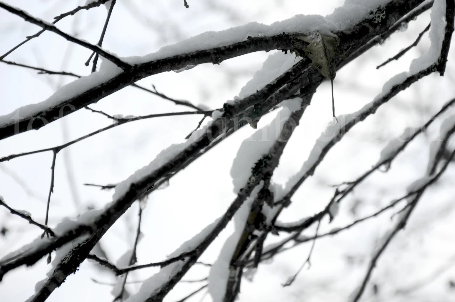 _DSC7593 edit 1.jpg