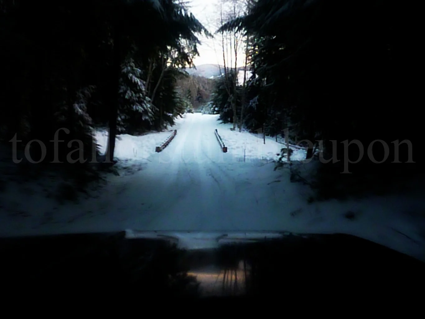P1260016 edit 1.jpg