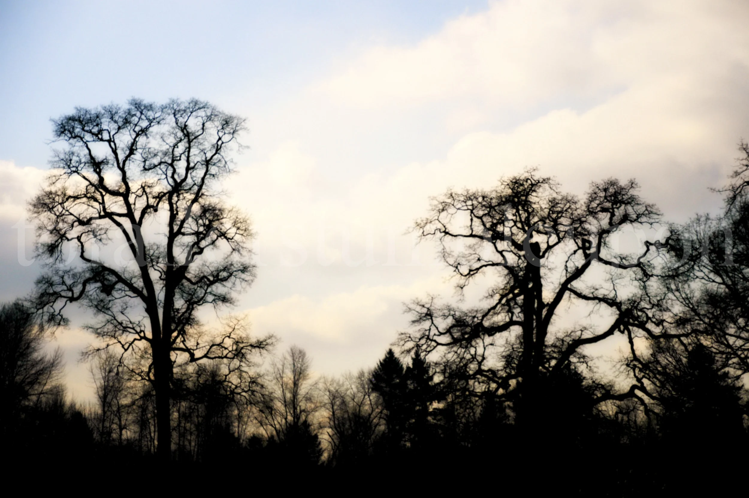 _DSC8024 edit 1.jpg