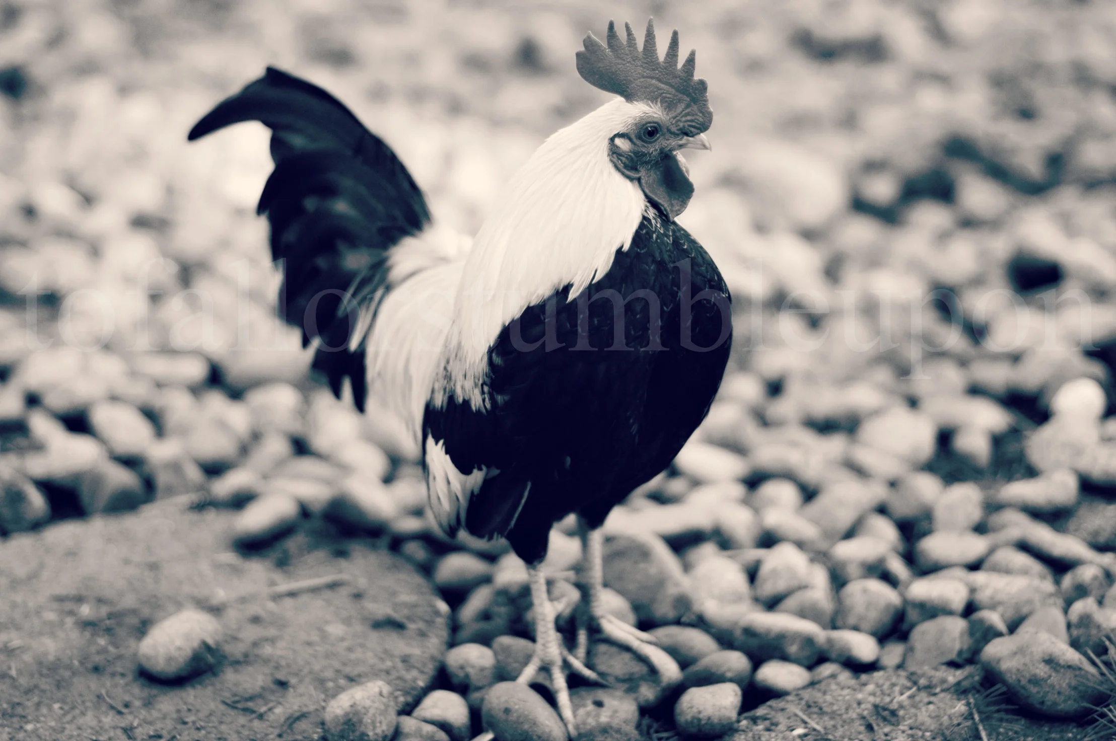 _DSC9358 edit 1.jpg