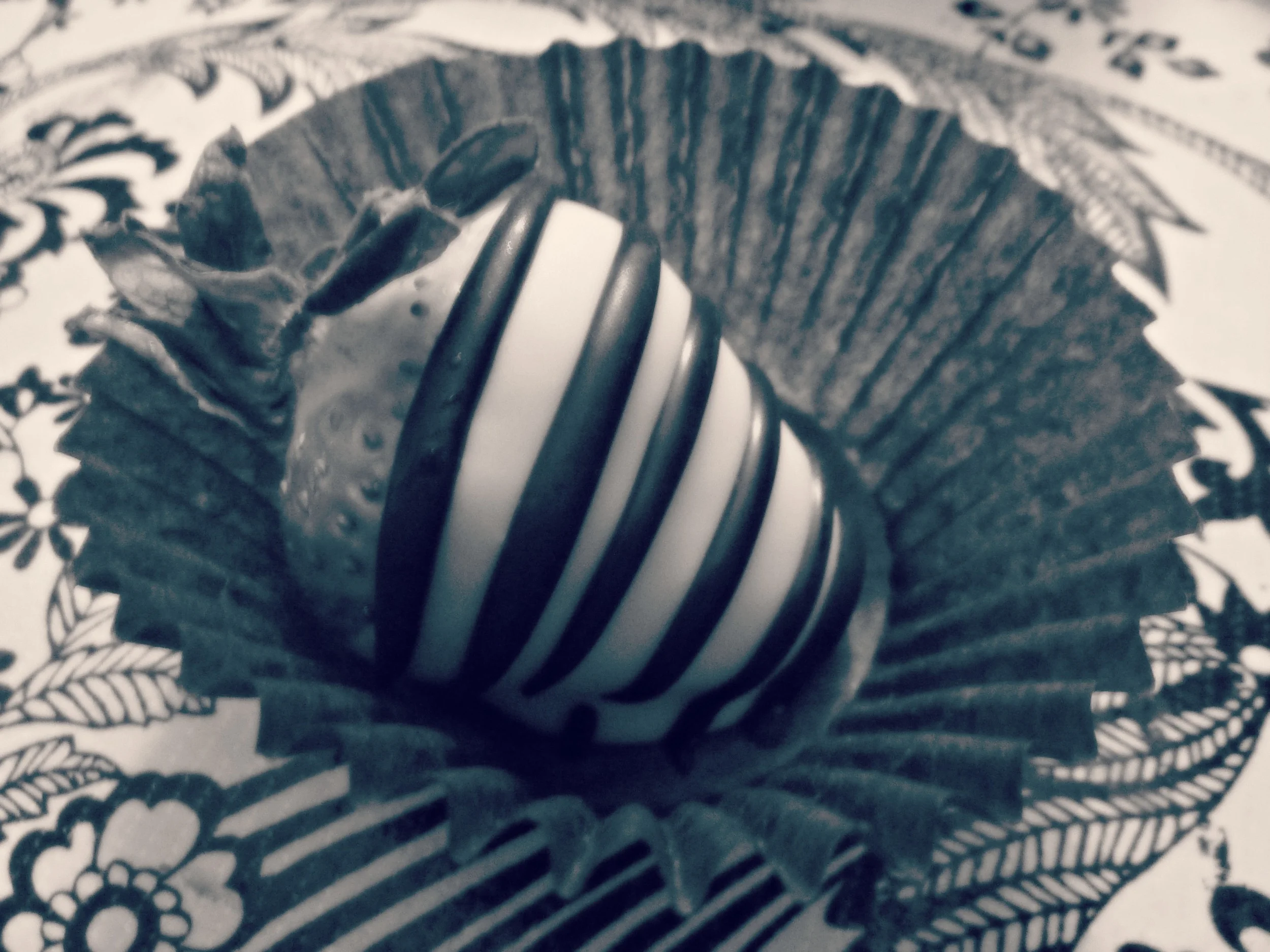 P1260246 edit 1.jpg