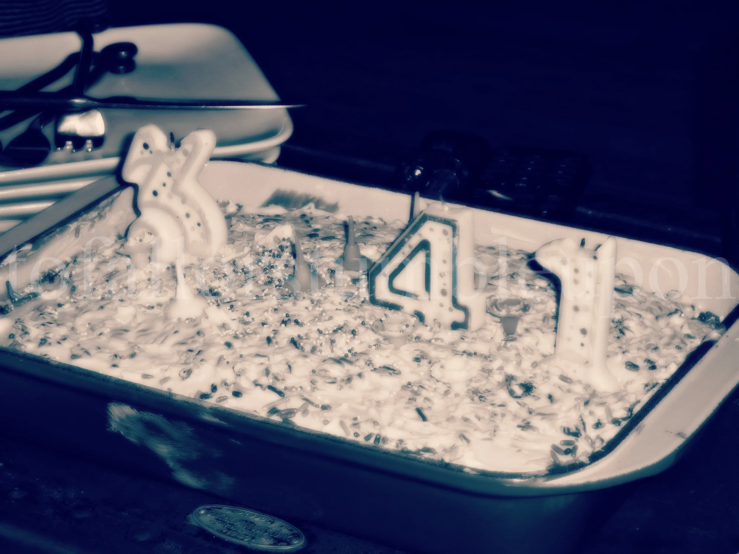 P1260312 edit 1.jpg