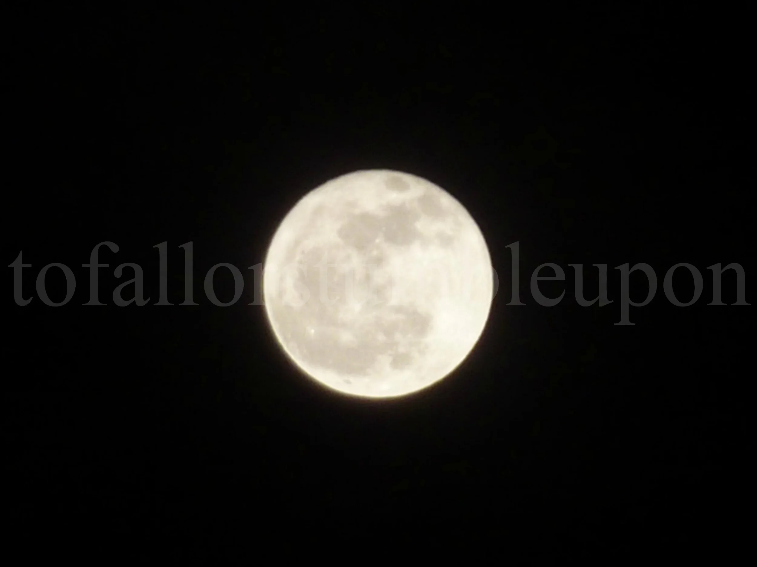 P1260251 edit 1.jpg