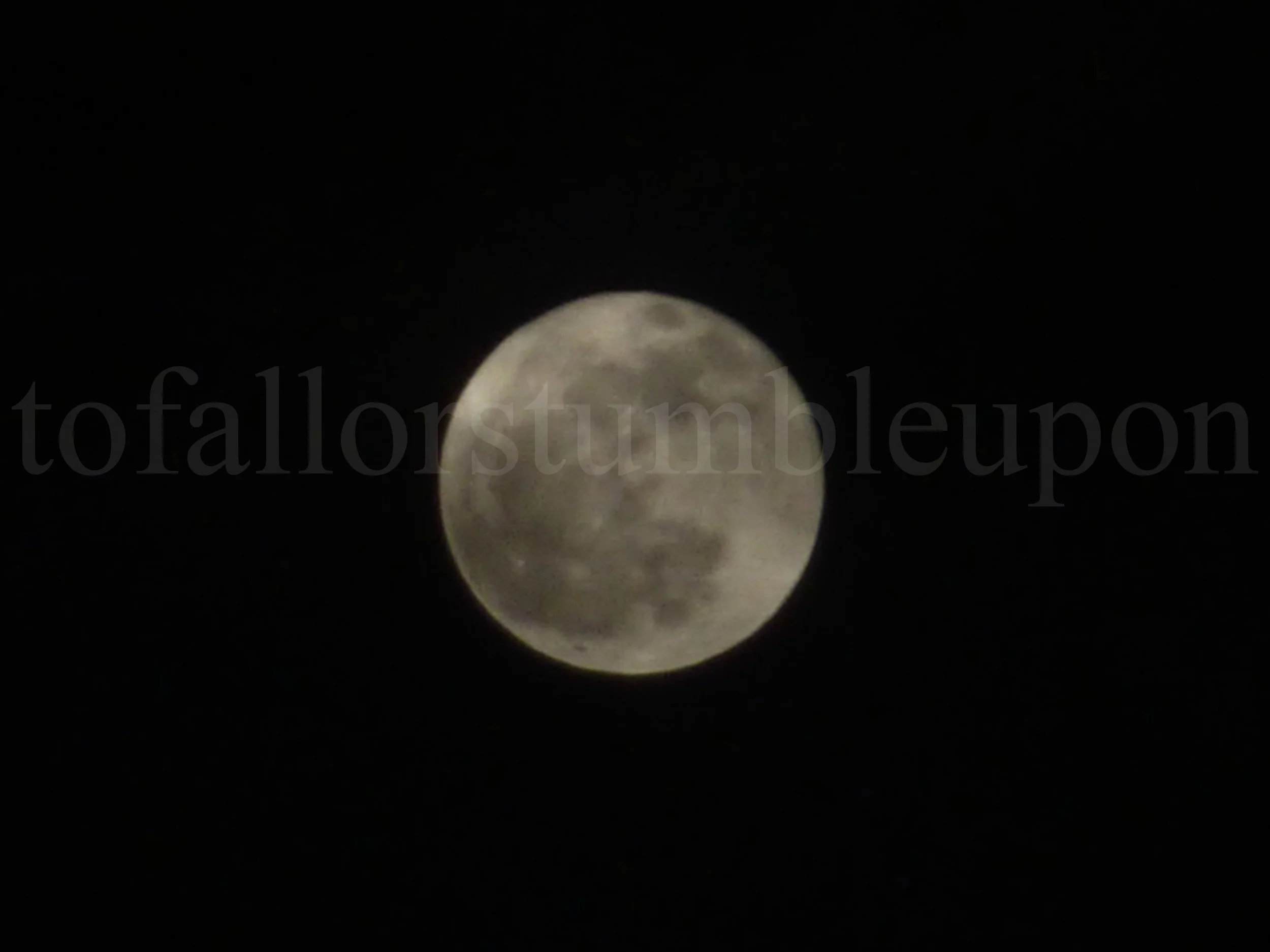 P1260260 edit 1.jpg