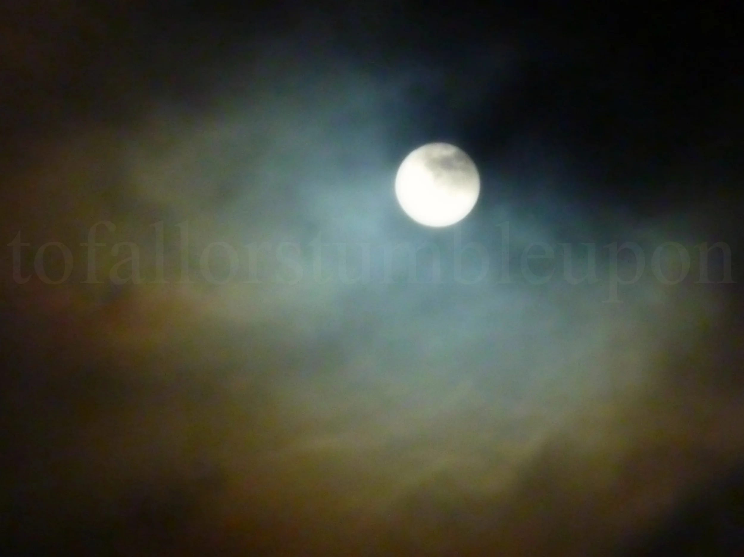 P1260267 edit 1.jpg