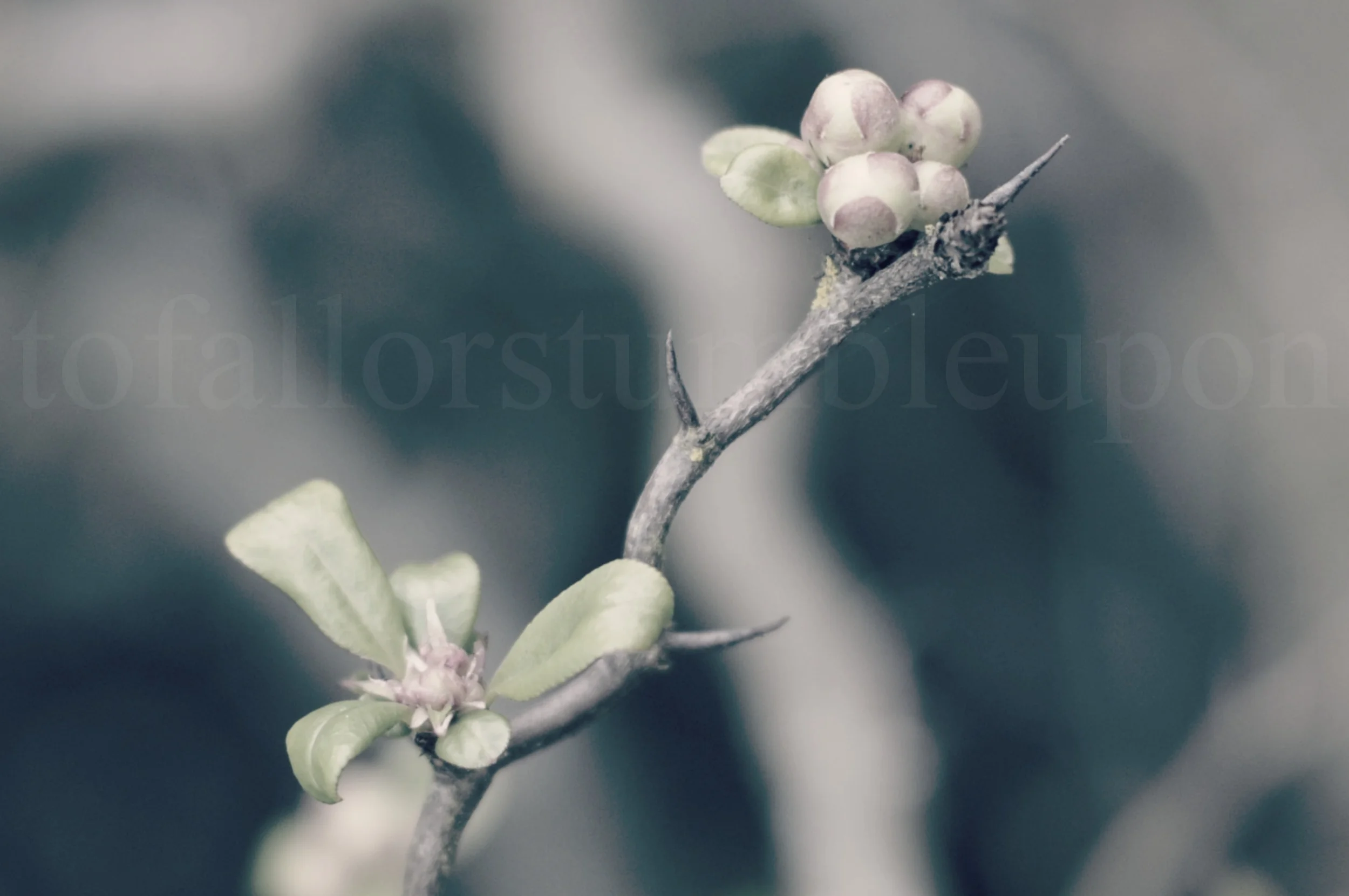 _DSC0008 edit 1.jpg