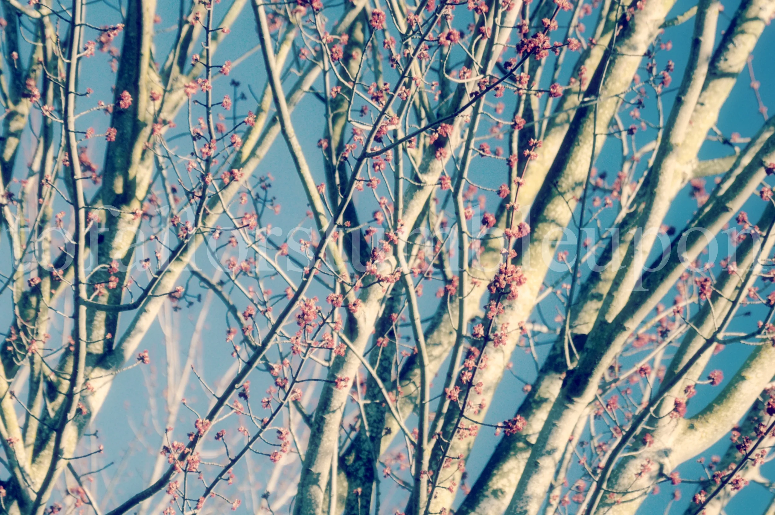 _DSC0195 edit 1.jpg