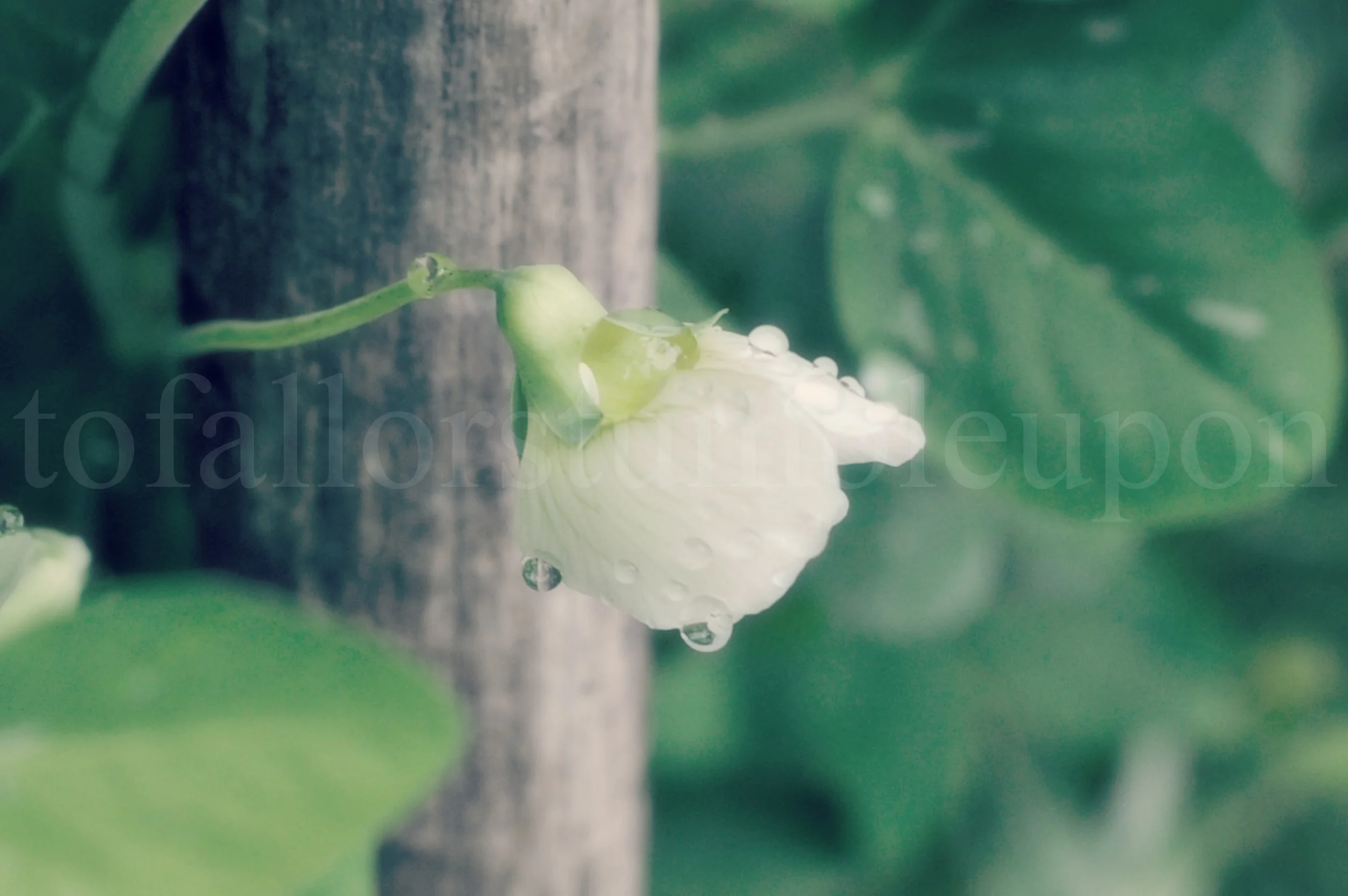 _DSC2153 edit 1.jpg