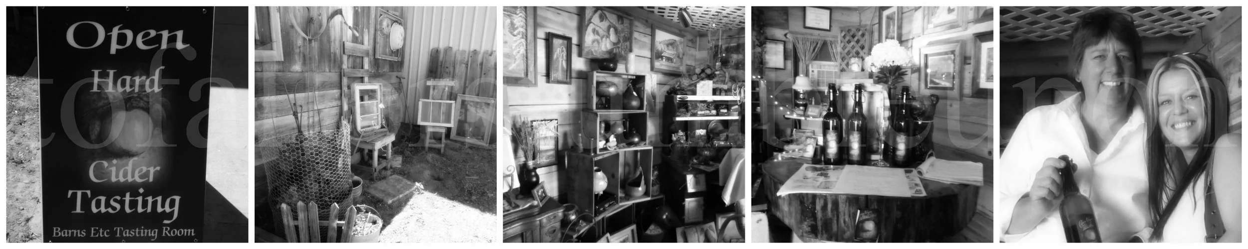 PicMonkey Collage c 1.jpg