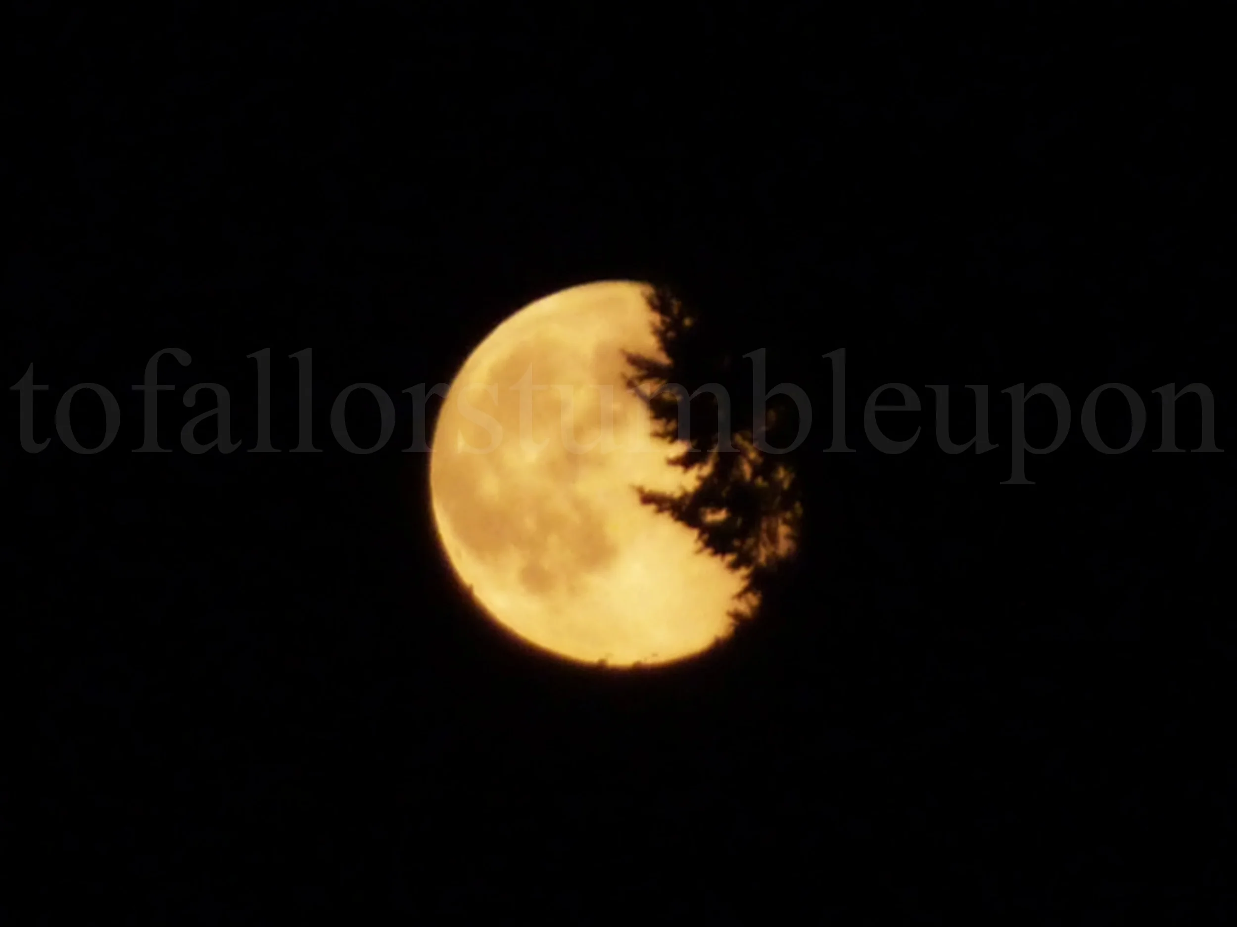 P1290466 edit 1.jpg