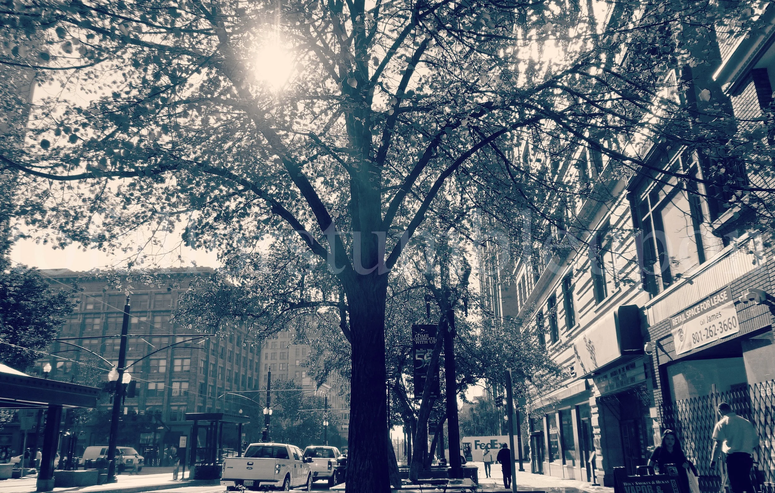 P1290993 edit 2.jpg