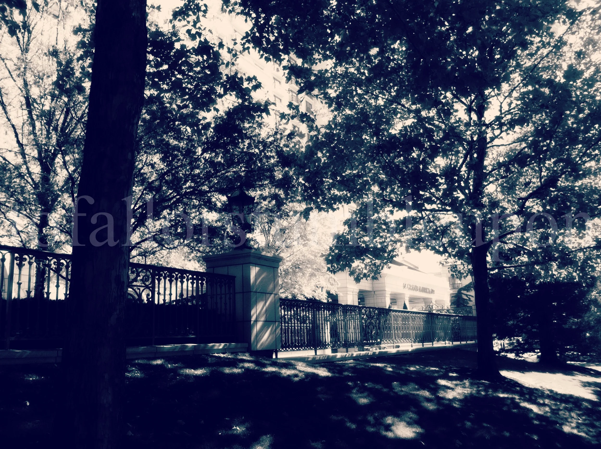 IMG_2279 edit 2.jpg