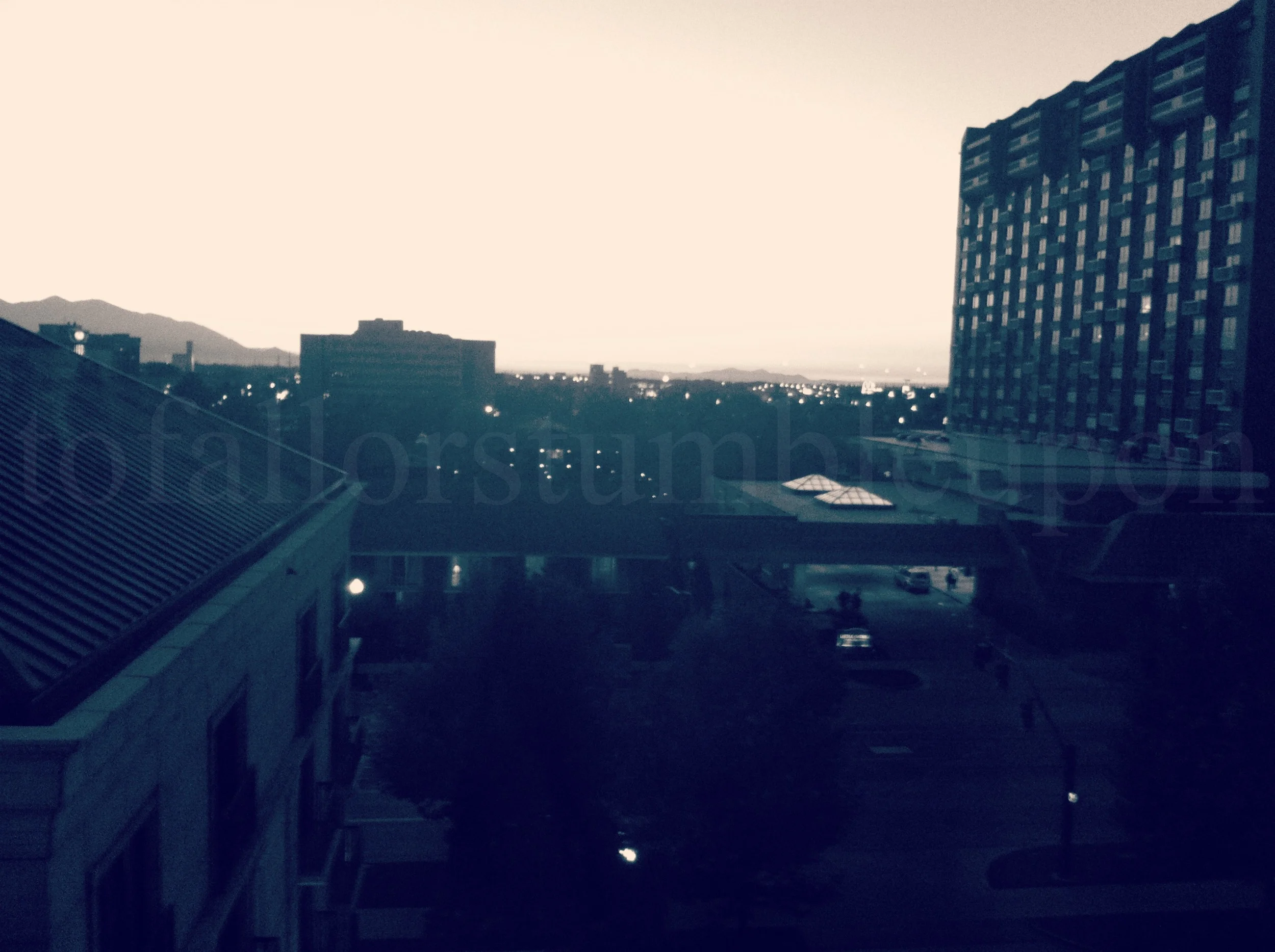 IMG_2298 edit 2.jpg
