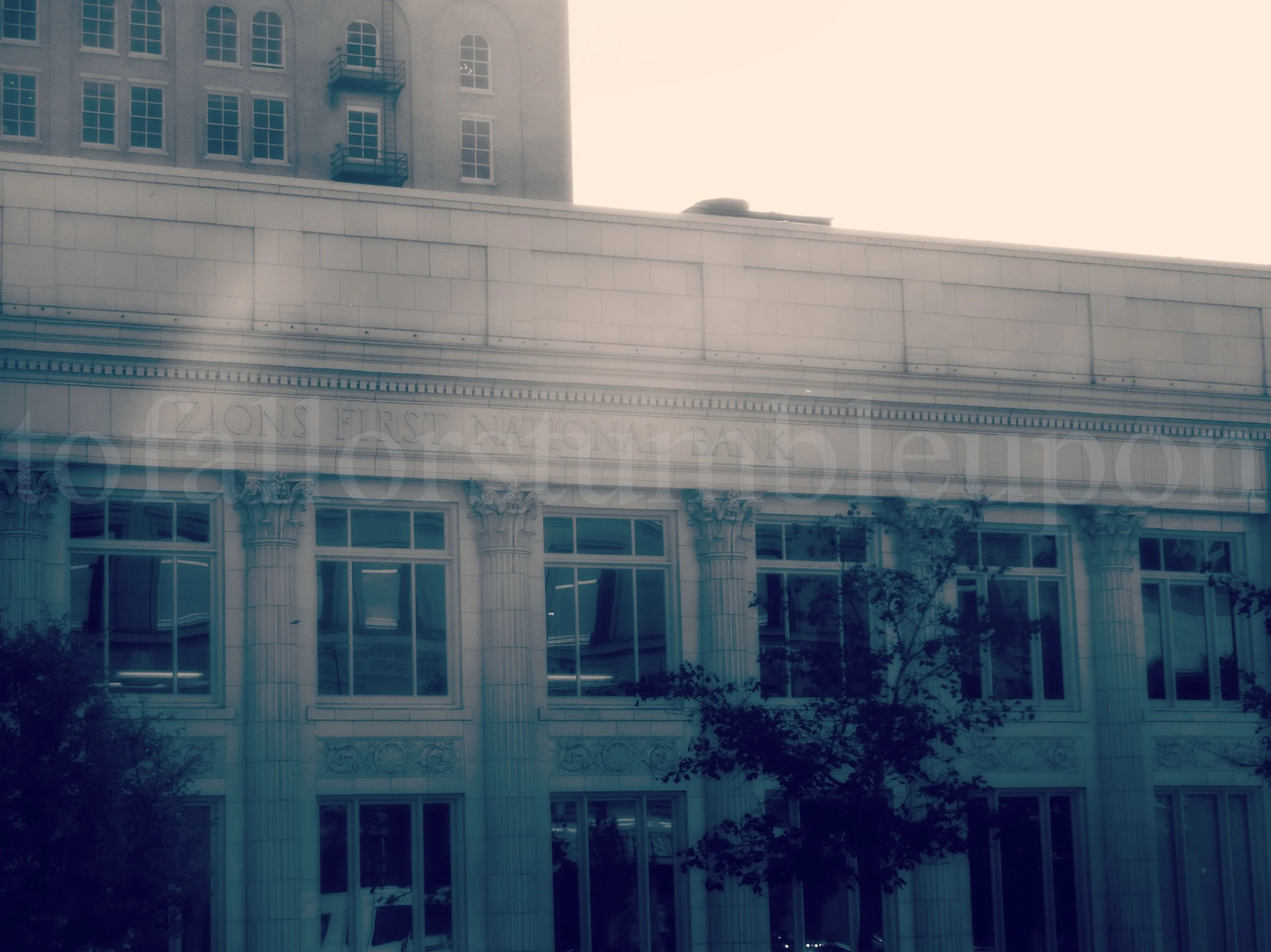 P1300069 edit 2.jpg