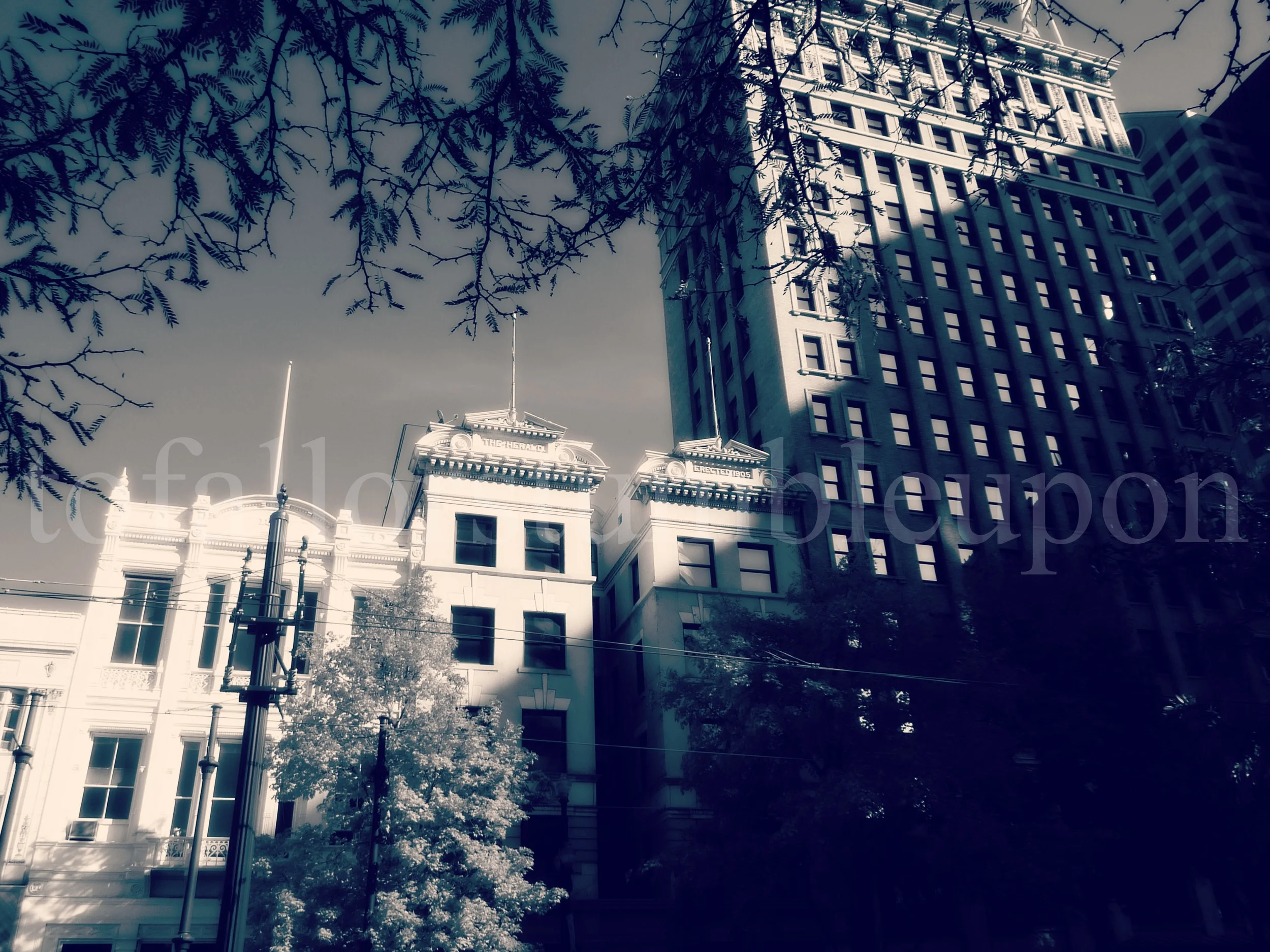 P1300102 edit 2.jpg