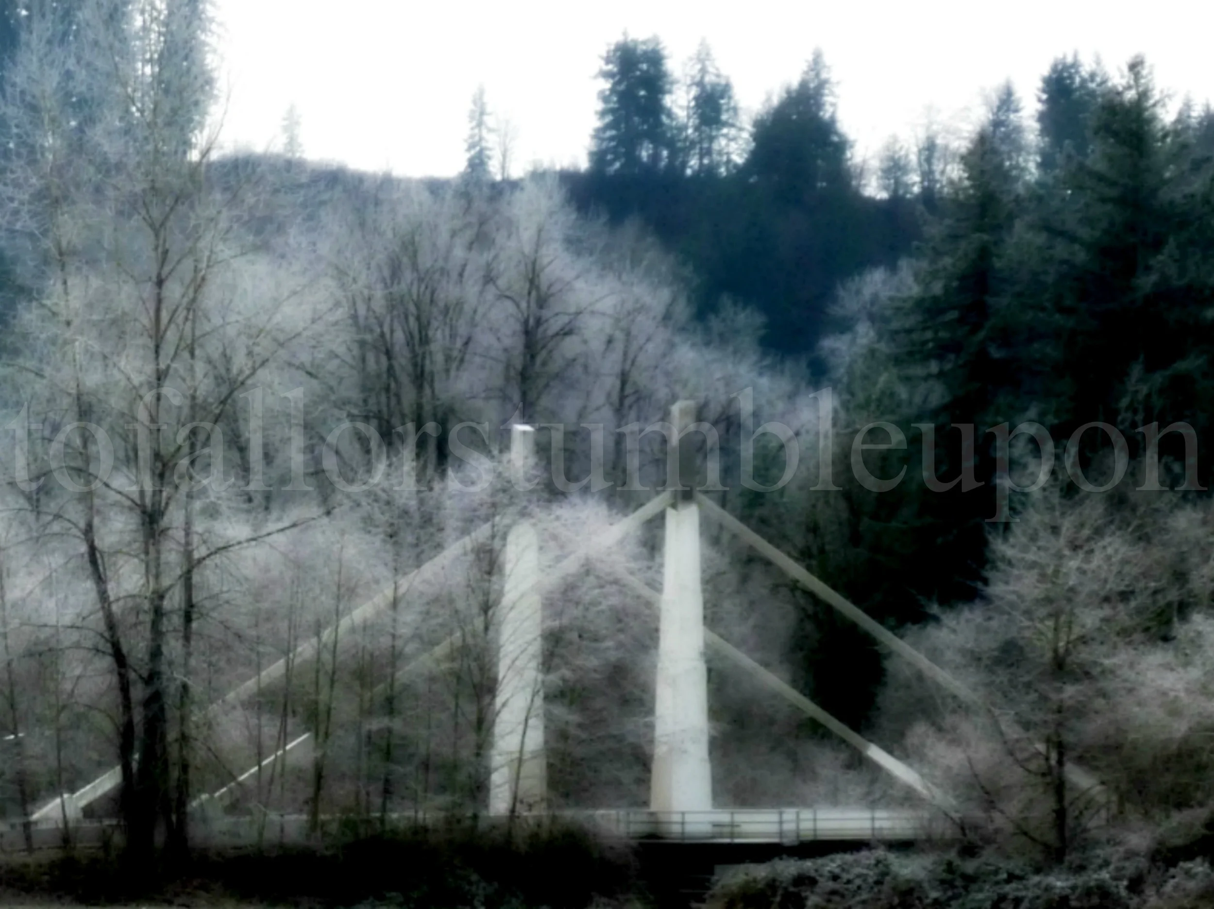 P1300589 edit 3.jpg