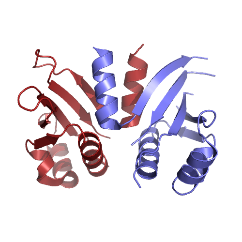 Budding-yeast Csm1 CTD